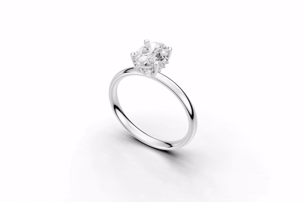 The Hidden Halo ring