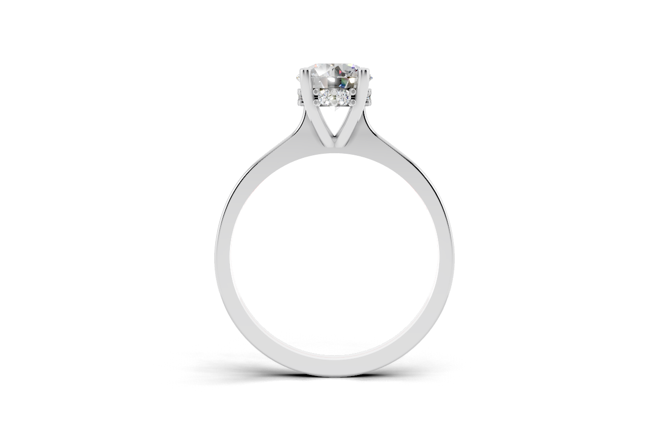 Round hidden halo ring