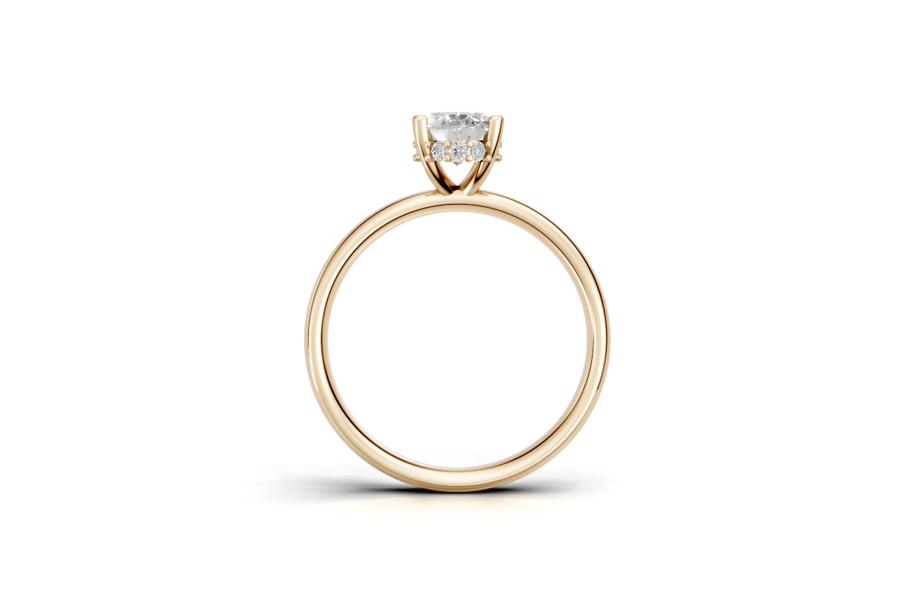 The Hidden Halo Oval ring