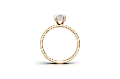 The Hidden Halo Oval ring