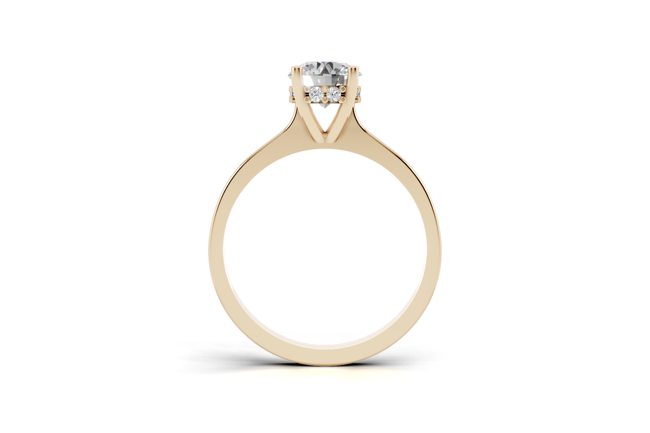 Round hidden halo ring