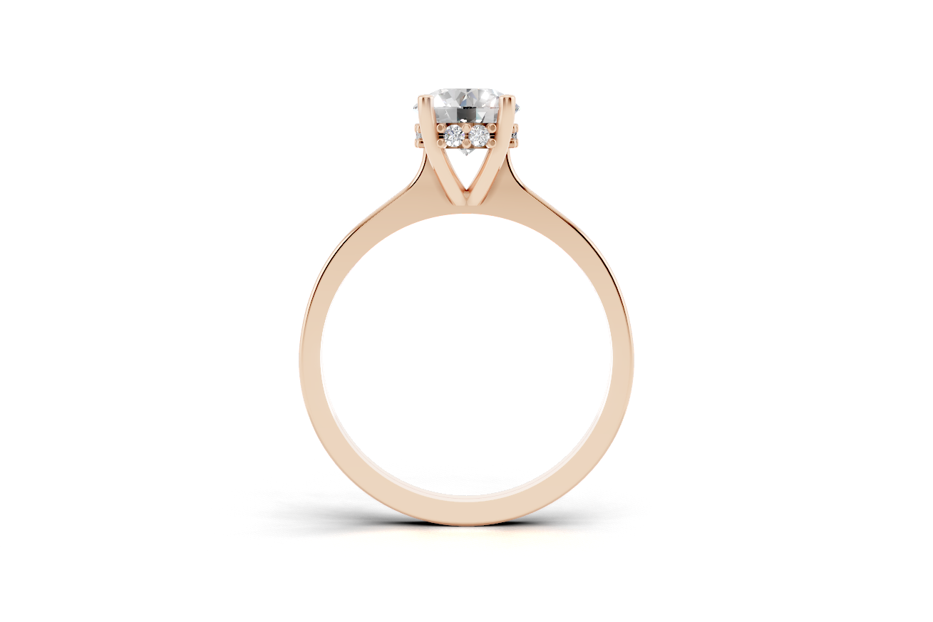 Round hidden halo ring