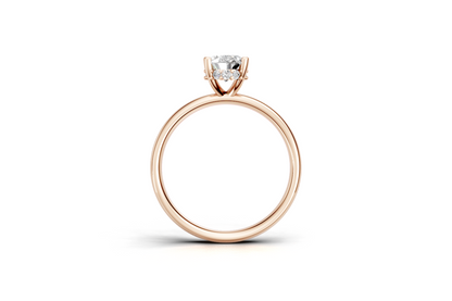 The Hidden Halo Oval ring