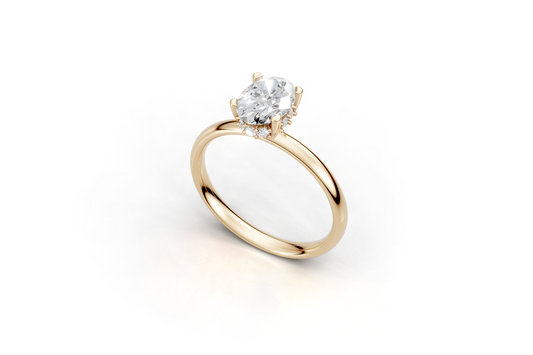 The Hidden Halo Oval ring