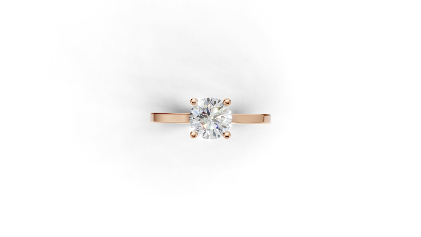 The Rise collection